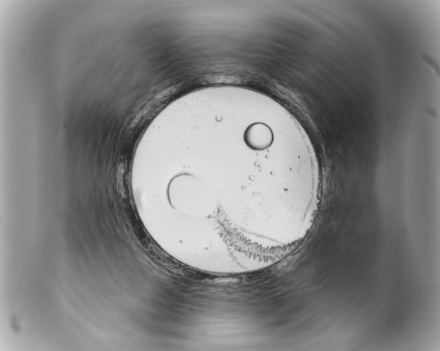 X0000099300162200805301140