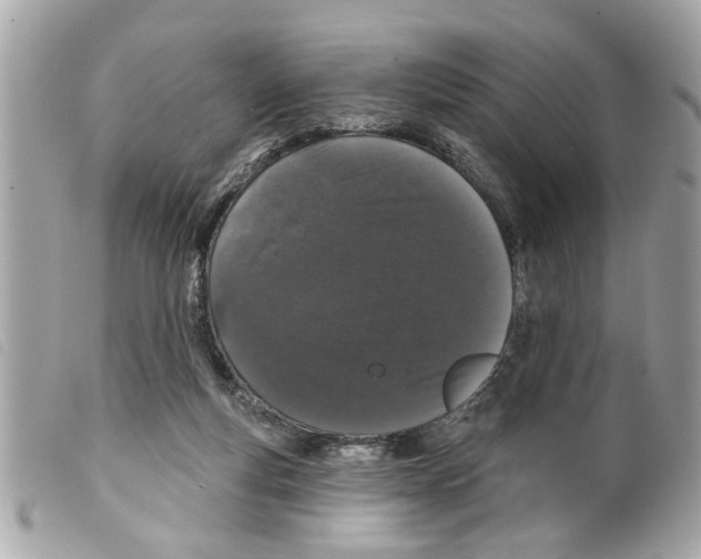 X0000099300163200805301140