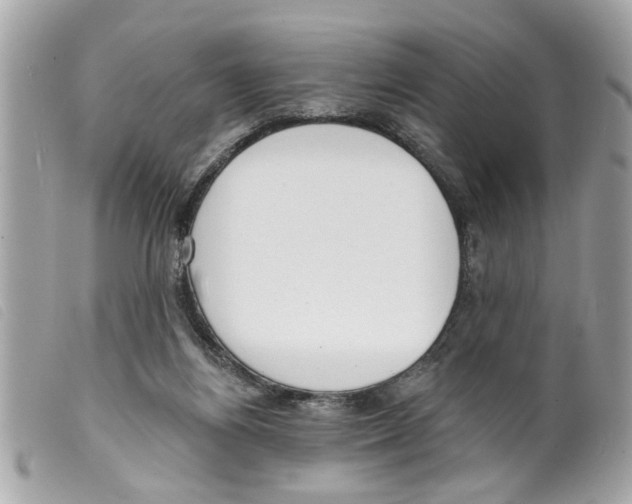 X0000099300164200805301140