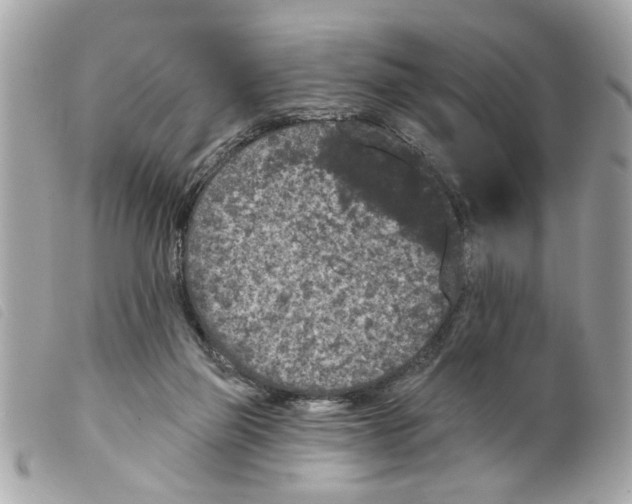 X0000099300165200805301140