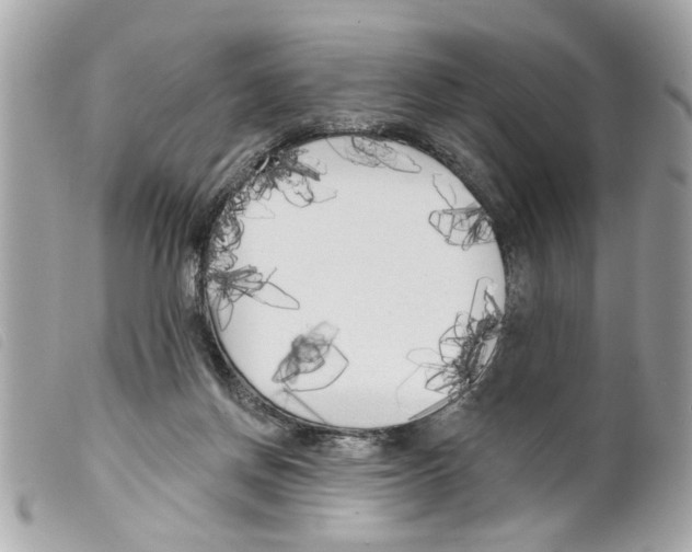 X0000099300166200805301140