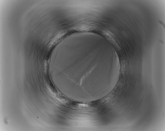 X0000099300167200805301140