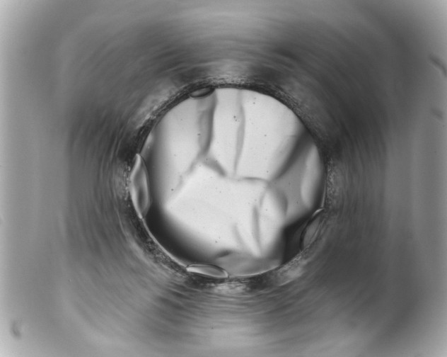 X0000099300168200805301140