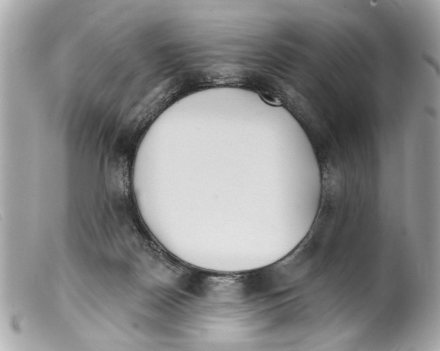 X0000099300170200805301140