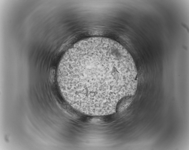 X0000099300171200805301140