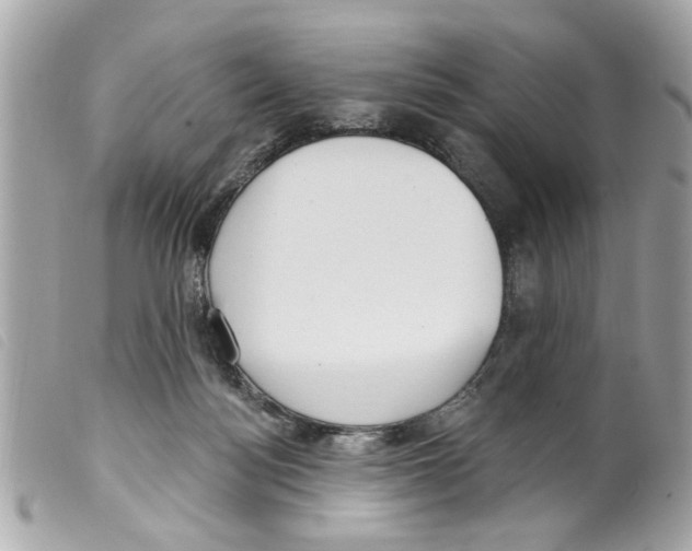 X0000099300172200805301140