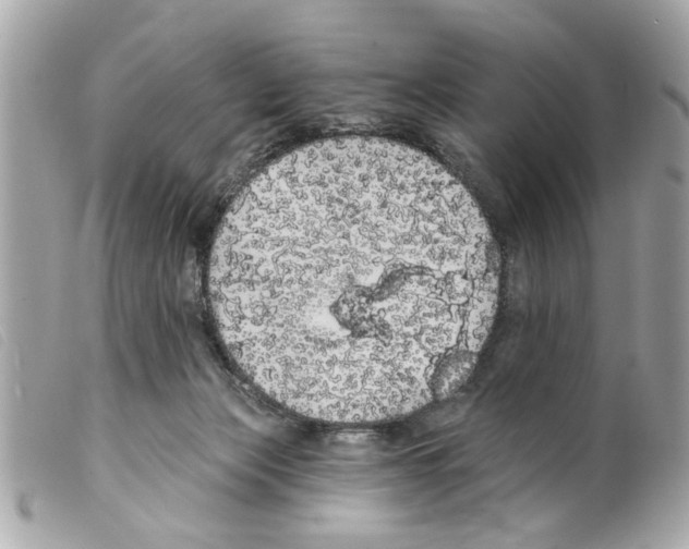 X0000099300173200805301140
