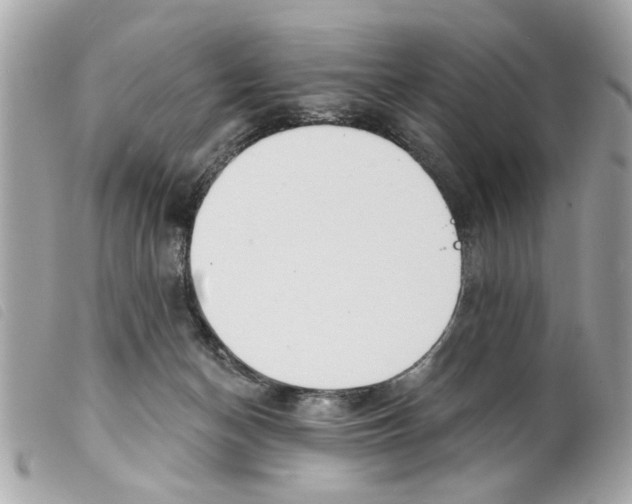 X0000099300174200805301140