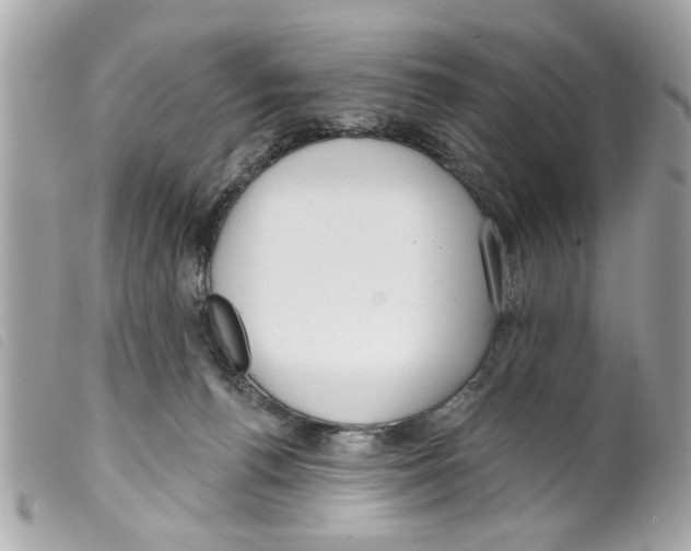 X0000099300176200805301140