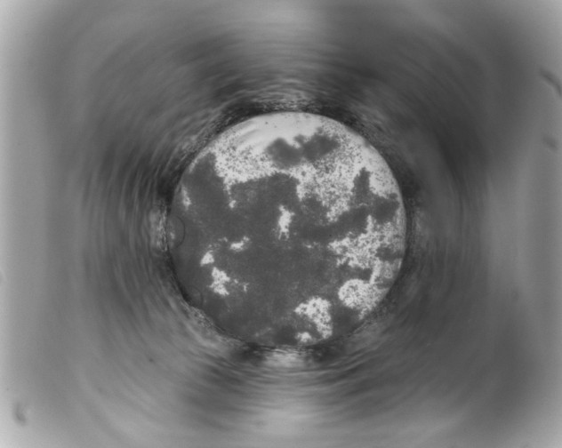 X0000099300177200805301140