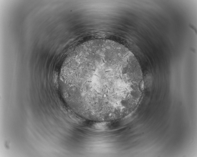 X0000099300178200805301140