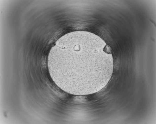 X0000099300179200805301140