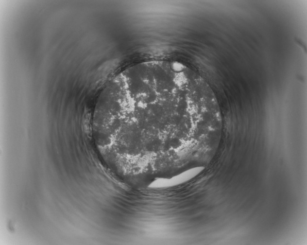 X0000099300181200805301141