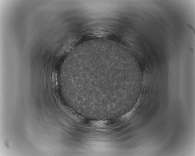 X0000099300182200805301141