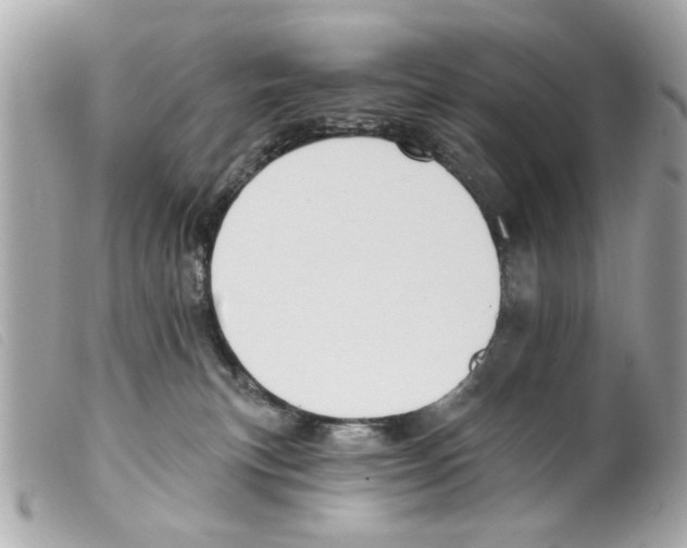 X0000099300183200805301141