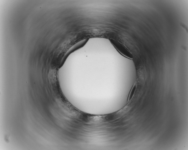 X0000099300184200805301141
