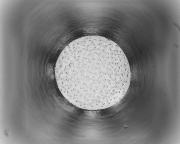 X0000099300187200805301141