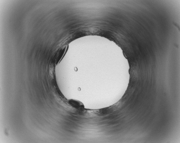 X0000099300188200805301141