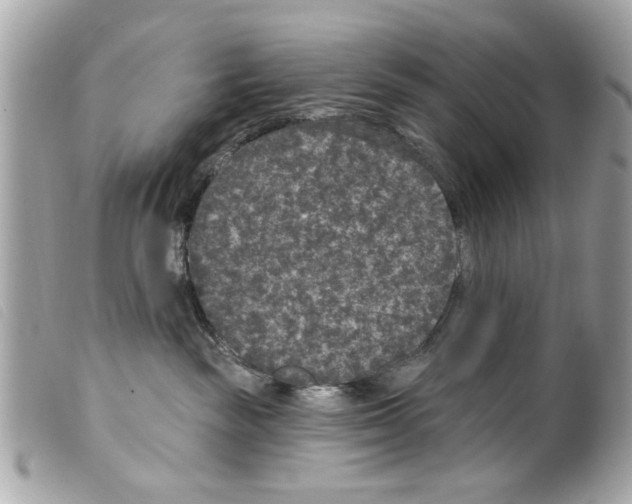 X0000099300189200805301141