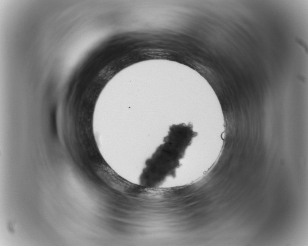 X0000099300190200805301141