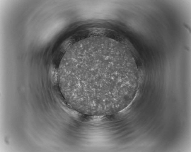 X0000099300191200805301141