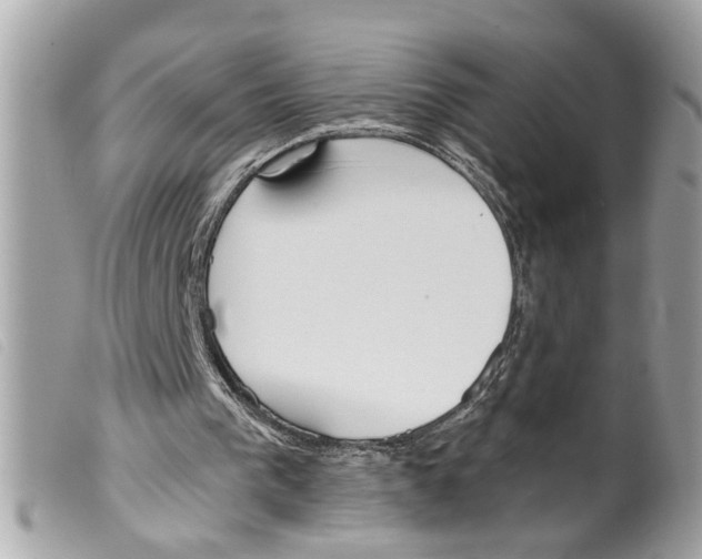 X0000099300193200805301140