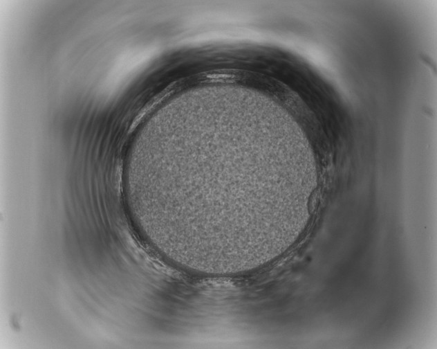 X0000099300194200805301140