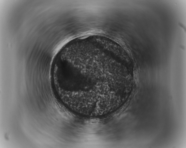X0000099300196200805301140