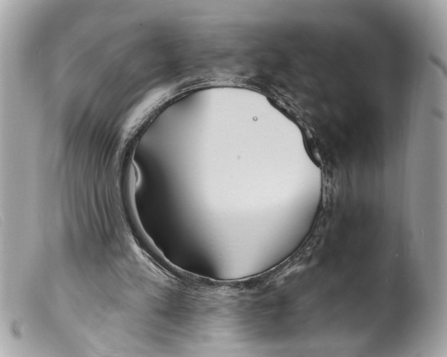 X0000099300197200805301140