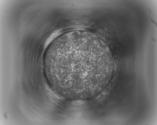 X0000099300198200805301140