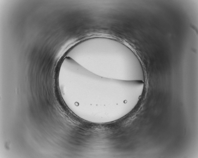 X0000099300199200805301140