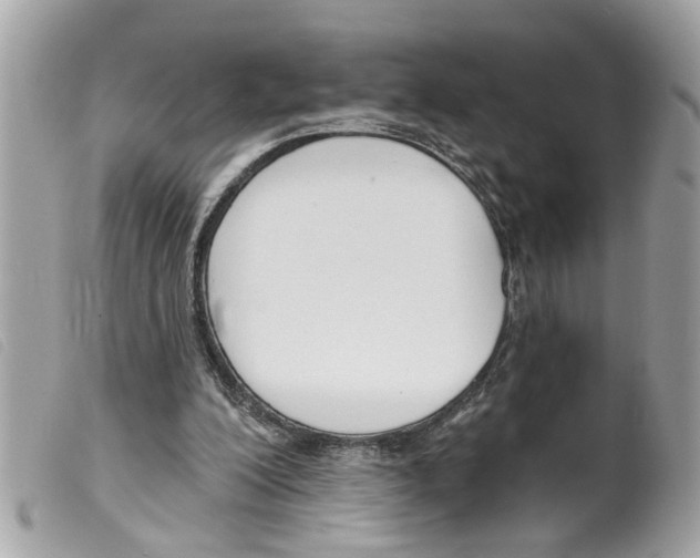 X0000099300200200805301140