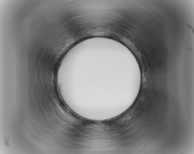 X0000099300201200805301140