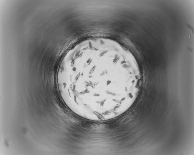 X0000099300202200805301140