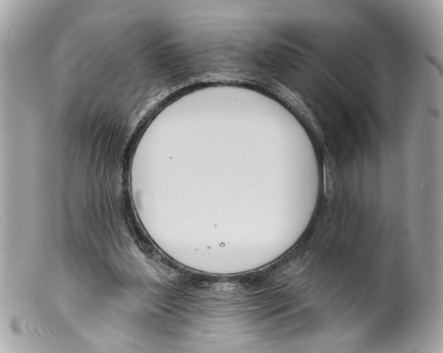 X0000099300204200805301140
