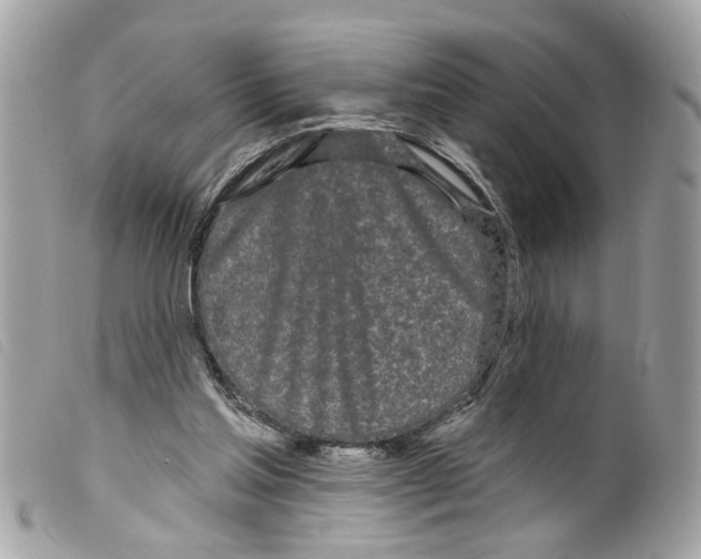 X0000099300205200805301140