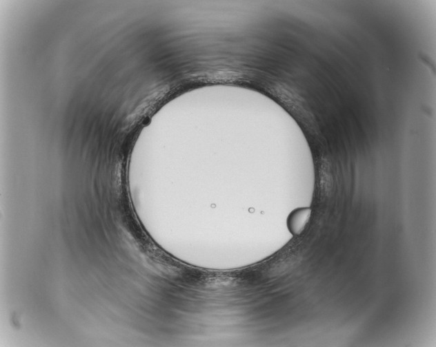 X0000099300206200805301140