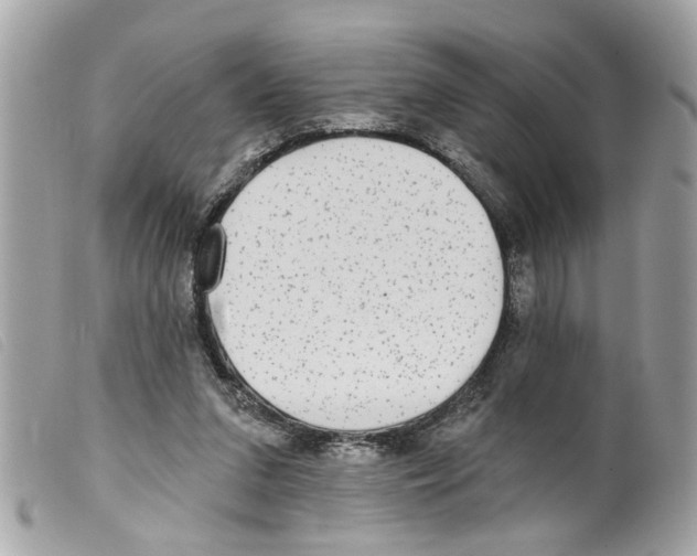 X0000099300207200805301140