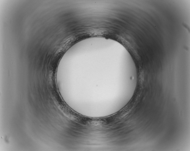 X0000099300209200805301140