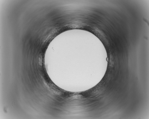 X0000099300210200805301140