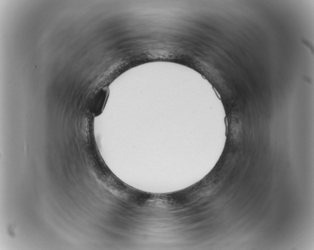 X0000099300211200805301140