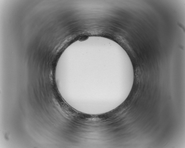 X0000099300212200805301140