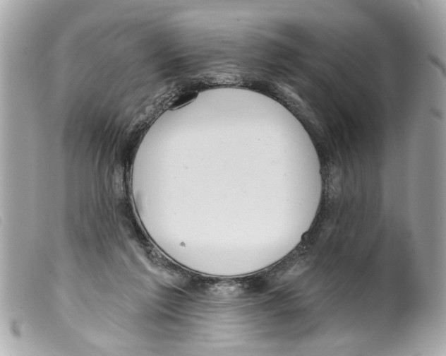 X0000099300213200805301140