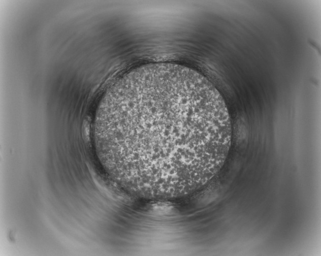 X0000099300214200805301140