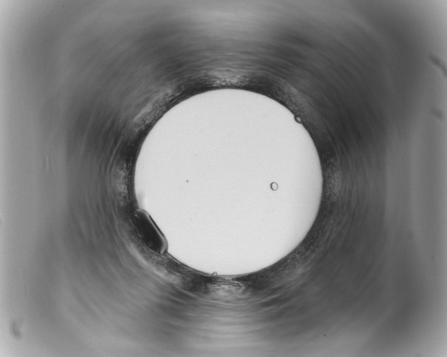 X0000099300215200805301140