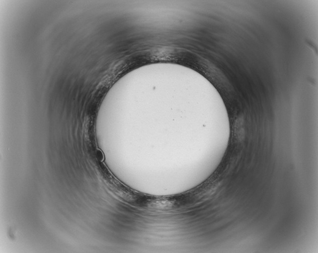 X0000099300217200805301140
