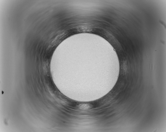 X0000099300218200805301140