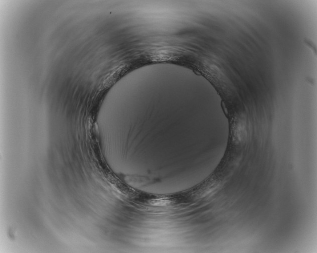 X0000099300219200805301140