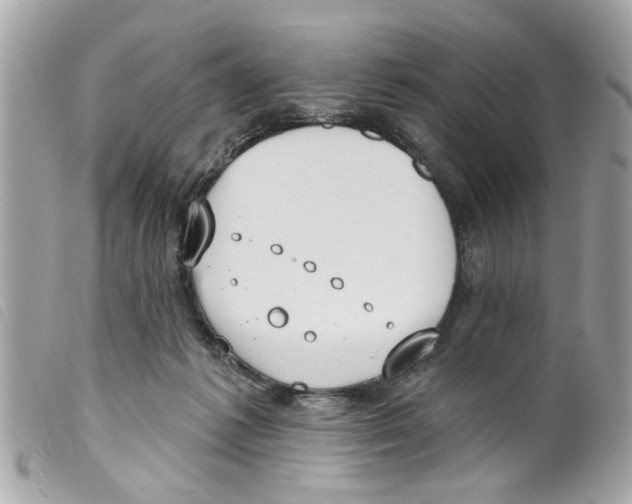 X0000099300221200805301140