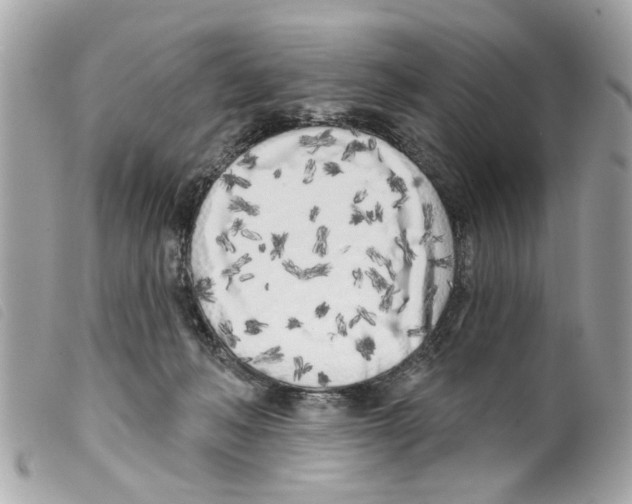 X0000099300222200805301140